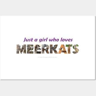 Just a girl who loves meerkats - wildlife oil painting wordart. Posters and Art